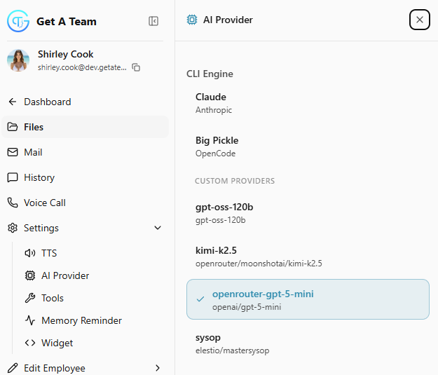 AI Provider Selection
